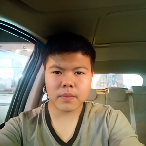 会飞的维卡
