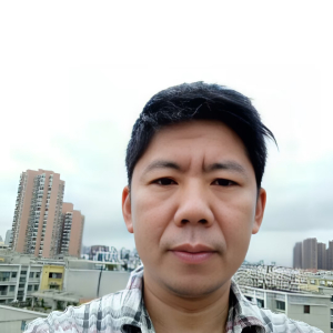 华贵的华桐