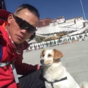 带着小狗旅行黄志毅