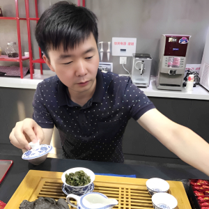 柳絮树下