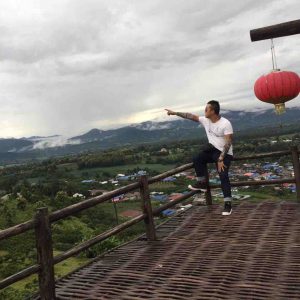 无敌大牡丹