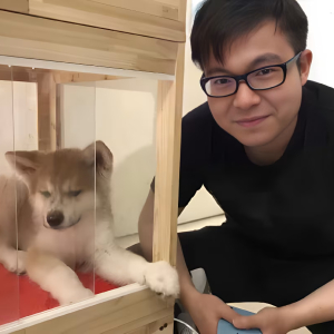 六月的笨笨