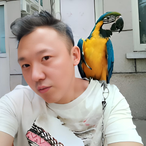 心灵释放